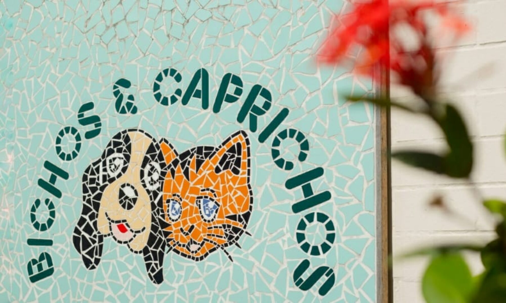 Bichos e Caprichos – Desde 1998 a pet-shop mais charmosa do Leblon!